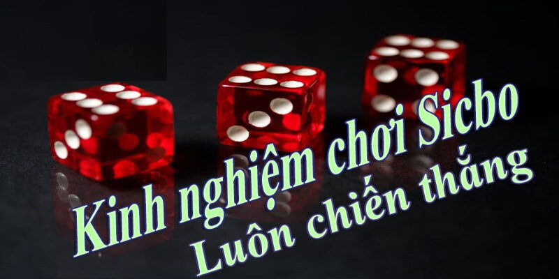 Kinh nghiệm chơi sicbo hiệu quả hãy theo chuỗi cầu hợp lý